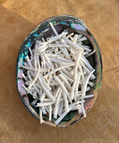 1.5"-2" 1/2lb (1/4kg) Dentalium, approx. 250 shells