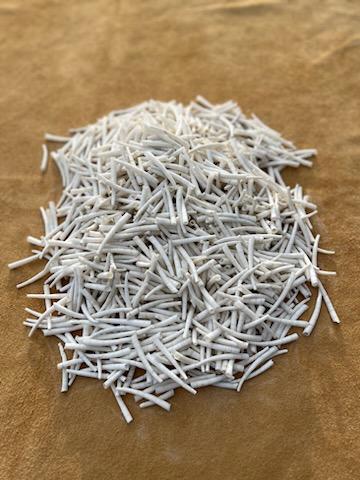 1.5"-2" 1lb (1/2 kg) Dentalium, approx. 500 shells