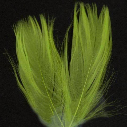 Florette Feathers , 3"-5" (1/2 oz)