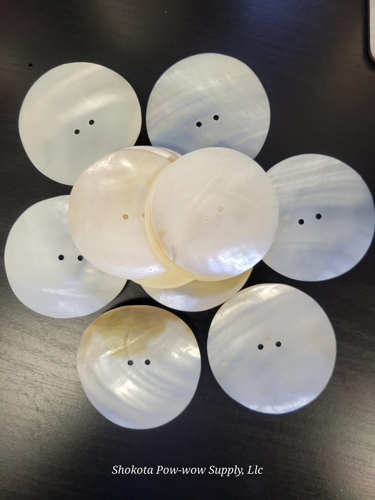 European Clam Shell (White) – Shokota Pow-Wow Supply