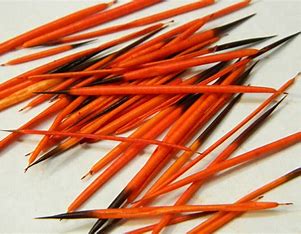 Dyed Porcupine Quills (colored)