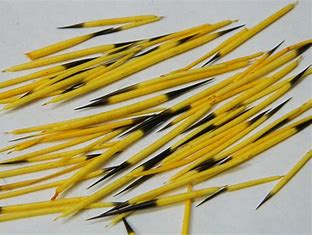 Dyed Porcupine Quills (colored)