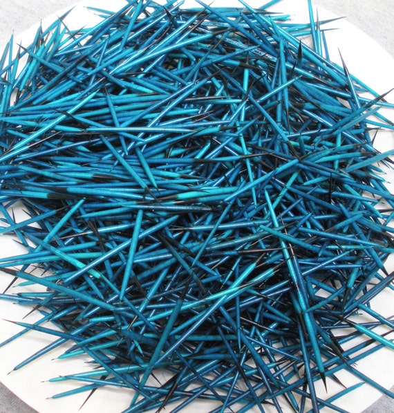 Dyed Porcupine Quills (colored)