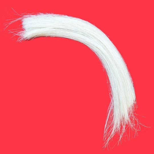 Horse Hair