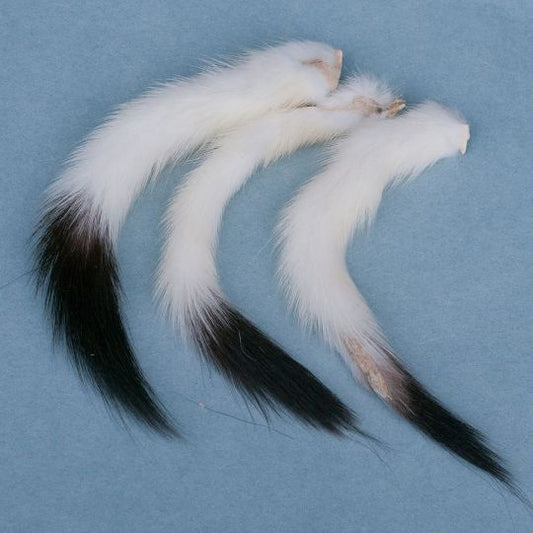 Ermine Tails