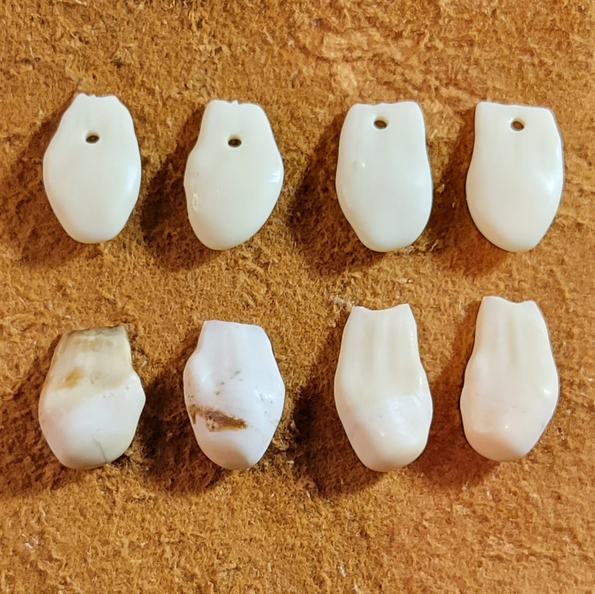 Simulated Elk Teeth, 20 Shapes, approx. 100 count